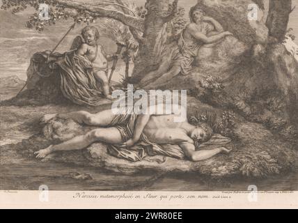 Narcissus and Echo, Narcissus metamorphosé en fleur qui porte son nom (Titel über Objekt), Druckerei: Gérard Audran, Druckerei: Benoît Audran (I), Druckerei: Jean Audran, Druckerei: Frankreich, Druckerei: Frankreich, Druckerei: Frankreich, Verlag: Paris, 1650 - 1756, Papier, Gravur, Ätzen, Höhe 317 mm x Breite 465 mm, Druck Stockfoto