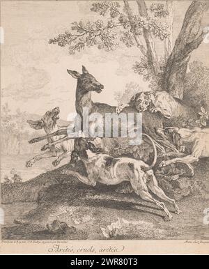 Hirsche von Jagdhunden angegriffen, Arétés, grausame, arétéz (...) (Titel über Objekt), Jagdszenen (Titel der Serie), Druckerei: Jean-Baptiste Oudry, nach eigenem Entwurf von: Jean-Baptiste Oudry, Verlag: Gabriel Huquier, Paris, 1725, Papier, Ätzen, Höhe 338 mm x Breite 295 mm, bedruckt Stockfoto