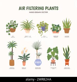 Clipart-Set von Luftreinigungsanlagen für Innenräume. Pflanzen, die die Luft von Schadstoffen reinigen. Englische und wissenschaftliche Namen unter dem Stock Vektor
