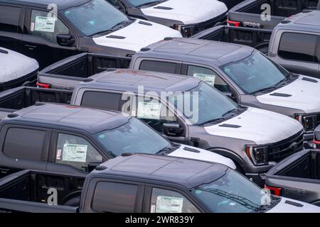 Ford FX4 Pickup Trucks auf Lager, im Überseehafen Bremerhaven, nach Import aus den USA in Deutschland, Niedersachsen, Deutschland Stockfoto