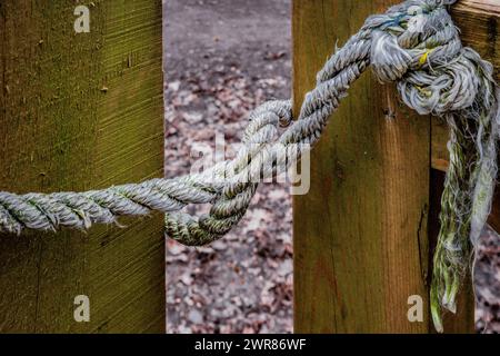 Ein geknüpftes Seil hält ein Landtor geschlossen. Konzepte, geschlossen, gesperrt, Sicherheit, Sicherheit, Prävention, psychische Probleme, Texturen. Stockfoto