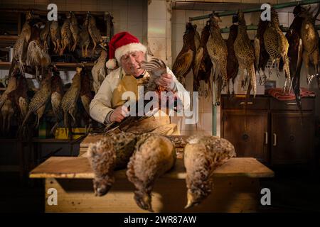 21/12/2023 Mick Hulme beginnt 600 Fasane im Keller unter seinem Laden in Ashbourne, Derbyshire zu pflücken. Mick, 65, ist die dritte Generation von h Stockfoto