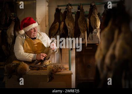 21/12/2023 Mick Hulme beginnt 600 Fasane im Keller unter seinem Laden in Ashbourne, Derbyshire zu pflücken. Mick, 65, ist die dritte Generation von h Stockfoto