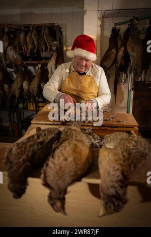 21/12/2023 Mick Hulme beginnt 600 Fasane im Keller unter seinem Laden in Ashbourne, Derbyshire zu pflücken. Mick, 65, ist die dritte Generation von h Stockfoto