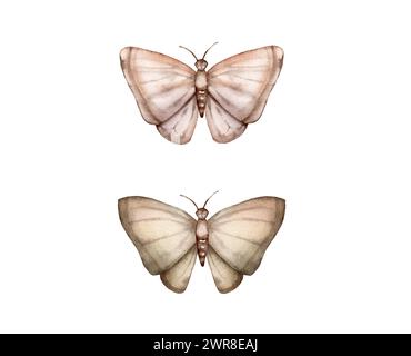 Set gedämpfter farbiger abstrakter Schmetterlinge isoliert auf weißem Hintergrund. Aquarellillustration fliegende Insekten für Ihr Design. Niedlich handbemalt Stockfoto