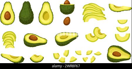 Cartoon frische Avocados. Ganze Avocado, Hälften mit Grube, in Scheiben geschnittene und gehackte Stücke isolierte Superfood Vektor-Illustration Set Stock Vektor