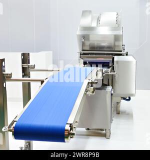 Förderband-Enthäutungsmaschine für die Lebensmittelproduktion Stockfoto