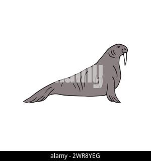 Vektor Hand gezeichnete Kritzelskizze farbiger Walrus isoliert auf weißem Hintergrund Stock Vektor