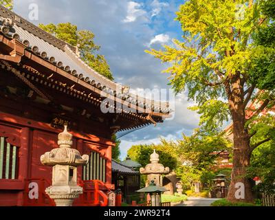 Japanische spirituelle Architektur in Tokio. Yakushido Hall wurde 1649 erbaut und ist eines der ältesten Gebäude im Asakusa Temple Complex Stockfoto