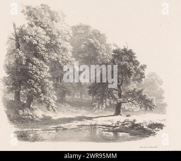 Mehr im Wald, Landscape Studies fünfte Ausgabe (Serientitel), nummeriert oben links und rechts: 'Lev 5' und 'PL 30', Druckerei: Barend Cornelis Koekkoek, Drucker: Jean Augustin Daiwaille, Amsterdam, 1829 - 1830, Papier, Höhe 340 mm x Breite 482 mm, Druck Stockfoto