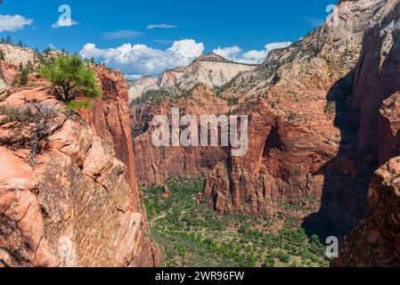 Blick auf den Angel’s Landing Trail, Zion National Park, Utah, USA. Stockfoto