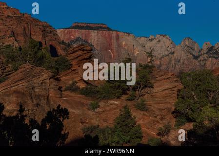 Blick am frühen Morgen auf den Zion Canyon Overlook Trail, Zion National Park, Utah, USA. Stockfoto