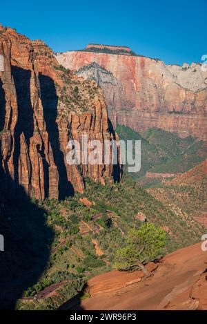 Blick am frühen Morgen auf den Zion Canyon Overlook Trail, Zion National Park, Utah, USA. Stockfoto