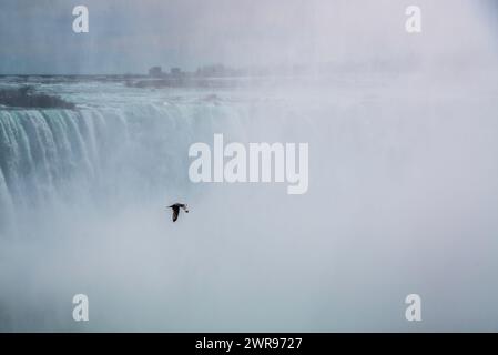 Niagarafälle, Kanada - 8. März 2024: Panoramablick auf die Niagarafälle in Kanada Stockfoto