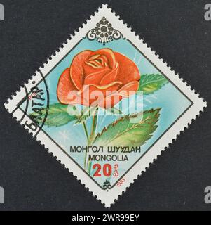 Gestempelte Briefmarke, gedruckt von der Mongolei, die Rose zeigt, um 1983. Stockfoto