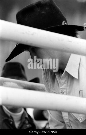 Junger Cowboy in der Rutsche im Water Valley Rodeo, ca. 1982, Alberta Kanada Stockfoto