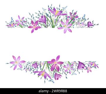 Krokusblüten und wilde Kräuter. Safran- und Frühlingswiesen, Gartenpflanzen. Blaue, violette Blüten. Horizontaler Rahmen mit Kopierraum für Text. Stockfoto