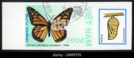 Eine unperforierte Briefmarke zeigt das Bild eines danaus plexippus plexippus und eines Chrysalids, Schmetterling, Vietnam 1989 Stockfoto