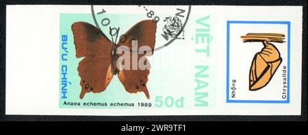 Eine unperforierte Briefmarke zeigt ein Bild eines Anaea echemus echemus und eines Chrysalids, Schmetterling, Vietnam 1989 Stockfoto