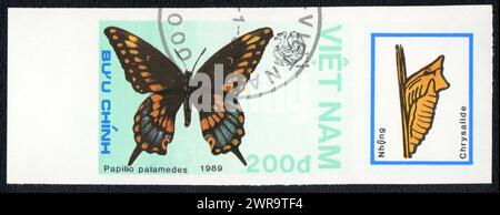 Ein unperforierter Poststempel zeigt ein Bild eines papilio palamedes und eines Chrysalides, Schmetterling, Vietnam 1989 Stockfoto