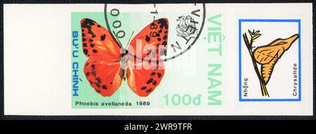 Ein unperforierter Poststempel zeigt ein Bild eines Phoebis avellaneda und eines Chrysalids, Schmetterling, Vietnam 1989 Stockfoto