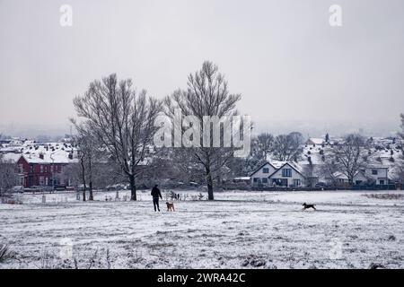 Winterlicher Hundespaziergang im Clarence Park Stockfoto