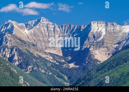 Schwan-Höhepunkt im Bereich "Schwan" in der Nähe von Condon, montana Stockfoto