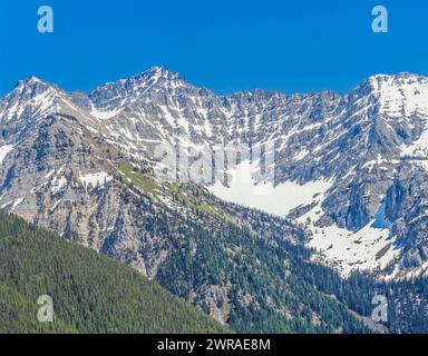 Schwan-Höhepunkt im Bereich "Schwan" in der Nähe von Condon, montana Stockfoto