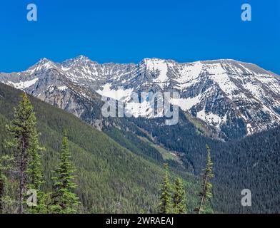 Schwan-Höhepunkt im Bereich "Schwan" in der Nähe von Condon, montana Stockfoto