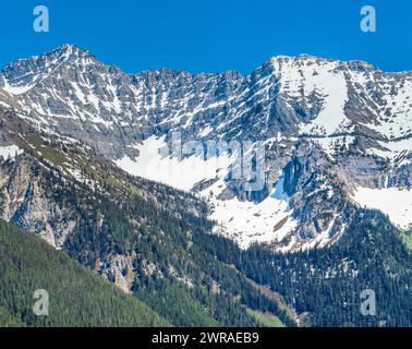 Schwan-Höhepunkt im Bereich "Schwan" in der Nähe von Condon, montana Stockfoto