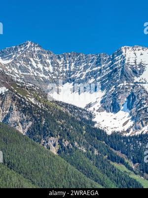 Schwan-Höhepunkt im Bereich "Schwan" in der Nähe von Condon, montana Stockfoto