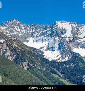 Schwan-Höhepunkt im Bereich "Schwan" in der Nähe von Condon, montana Stockfoto