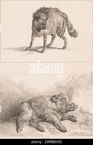 Blatt mit zwei Platten: lynx und Wildschwein, Loucervier / Sanglier (Titel auf Objekt), Recueil de Divers animaux de Chasse (Serientitel auf Objekt), Blatt mit zwei Platten. Obere Platte: Ein Luchs (Nr. VII). Bodenplatte: Ein Wildschwein (Nr. VIII). Teil einer Serie von zwölf Drucken von Tieren im Zusammenhang mit der Jagd., Druckerei: Johan Eric Rehn, Druckerei: Jacques-Philippe Le Bas, nach Entwurf: Jean-Baptiste Oudry, Druckerei: Stockholm, Druckerei: Paris, Verlag: Paris, 1740 - 1745, Papier, Ätzen, Höhe 225 mm x Breite 320 mm, Höhe 570 mm x Breite 452 mm Stockfoto