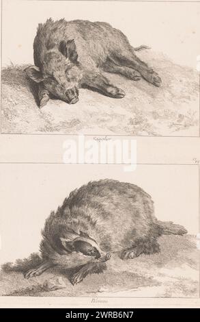 Blatt mit zwei Platten: Wildschwein und Dachs, Sanglier / Blereau (Titel auf Objekt), Recueil de Divers animaux de Chasse (Serientitel auf Objekt), Blatt mit zwei Platten. Oberplatte: Ein Wildschwein (Nr. V). Bodenplatte: Ein Kabelbinder (Nr. VI). Teil einer Serie von zwölf Drucken von Tieren im Zusammenhang mit der Jagd., Druckerei: Johan Eric Rehn, Druckerei: Jacques-Philippe Le Bas, nach Entwurf: Jean-Baptiste Oudry, Druckerei: Stockholm, Druckerei: Paris, Verlag: Paris, 1740 - 1745, Papier, Ätzen, Gravieren, Höhe 225 mm x Breite 320 mm, Höhe 570 mm x Breite 452 mm Stockfoto