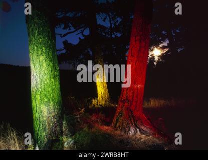 Malerei mit Licht in den Blue Mountains, Oregon Stockfoto