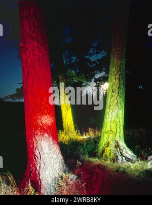 Malerei mit Licht in den Blue Mountains, Oregon Stockfoto