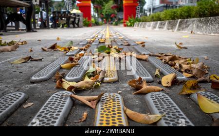 Gelber taktiler Pflaster für Blinde oder Sehbehinderte mit trockenen Blättern. Stockfoto