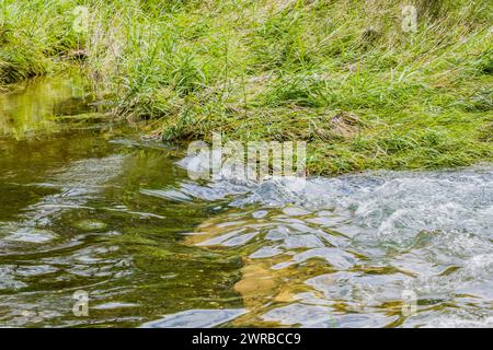 Klares Wasser fließt über Felsen in einem Fluss, der von grünem Gras umgeben ist, in Südkorea Stockfoto