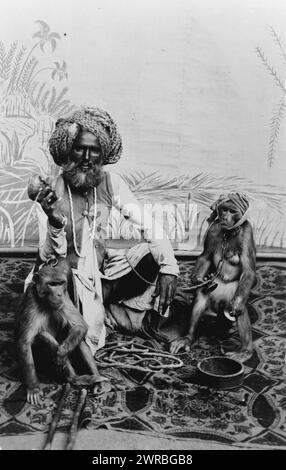 Indien, Fakir mit Affen, indischer Fakir, volllanges Porträt, auf Stoff sitzend mit zwei Affen., zwischen 1980 und 1920, Fakirs, Indien, 1890-1920, Fotodrucke, 1890-1920., Porträtfotos, 1890-1920, Fotodrucke, 1890-1920, 1 Fotodruck Stockfoto