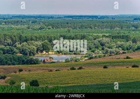 Landschaft auf dem St. George Branch, dem südlichen Arm der Donau im Donaudelta. Tulcea, Rumänien Stockfoto