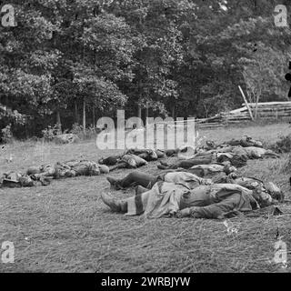 Gettysburg, Pa. Verstorbene der Konföderierten versammelten sich zum Begräbnis am südwestlichen Rand des Rosenwaldes, 5. Juli 1863, Foto aus dem östlichen Haupttheater des Krieges, Gettysburg, Juni-Juli 1863., O'Sullivan, Timothy H., 1840-1882, Fotograf, 5. Juli 1863, USA, Geschichte, Bürgerkrieg, 1861-1865, Opfer, Konföderierte, Stereographen, 1860-1870., Stereographen, 1860-1870, feuchte Kollodeonnegative, 1 negativ (2 Platten): Glas, Stereogramm, feuchtes Kollodion Stockfoto