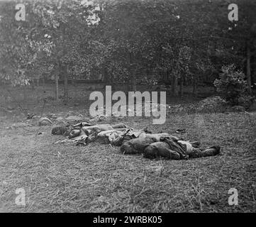 Gettysburg, Pennsylvania. Confederate Dead, View at the Edge of the Rose Woods, 5. Juli 1863, Gibson, James F., 1828-, Fotograf, 5. Juli 1863, Vereinigte Staaten, Geschichte, Bürgerkrieg, 1861-1865, Glasnegative, 1860-1870. Stereogramme, 1860-1870, Glasnegative, 1860-1870, 2 negative (3 Platten): Glas, Stereograph, nasses Kollodion Stockfoto