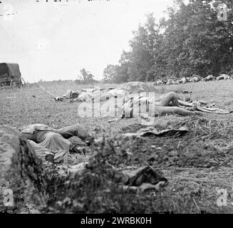 Gettysburg, Pa. Verstorbene der Konföderierten versammelten sich zum Begräbnis am Rande des Rosenwaldes, 5. Juli 1863, Foto aus dem östlichen Haupttheater des Krieges, Gettysburg, Juni-Juli 1863. Alexander, 1821-1882, Fotograf, 5. Juli 1863, USA. Army., Minnesota Infanterieregiment, 1. (1861-1864), Stereographen, 1860-1870., Stereographen, 1860-1870, feuchte Kollodeonnegative, 2 negative (3 Platten): Glas, Stereograph, feuchtes Kollodium Stockfoto