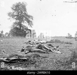 Gettysburg, Pennsylvania. Konföderierte Tote versammelten sich zum Begräbnis, 5. Juli 1863, Gardner, Alexander, 1821-1882, Fotograf, 5. Juli 1863, Vereinigte Staaten, Geschichte, Bürgerkrieg, 1861-1865, Glasnegative, 1860-1870. Stereogramme, 1860-1870, Glasnegative, 1860-1870, 1 negativ (2 Platten): Glas, Stereograph, nasses Kollodion Stockfoto