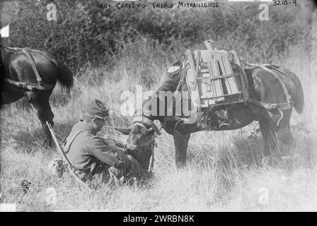 Pony mit französischer Mitrailleuse, Foto zeigt einen französischen Soldaten mit einem Ruderpferd, das eine Mitrailleuse trägt, ein zerlegtes Maschinengewehr, zu Beginn des Ersten Weltkriegs, zwischen ca. 1914 und ca. 1915, Weltkrieg, 1914-1918, Glasnegative, 1 negativ: Glas Stockfoto