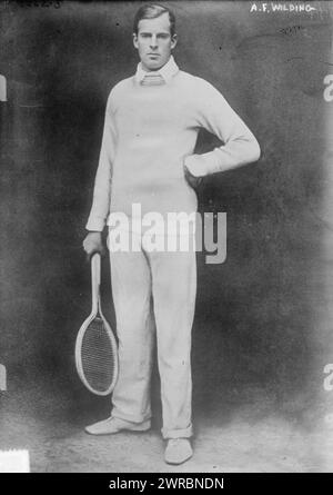 A.F. Wilding, Foto zeigt Anthony 'Tony' Frederick Wilding (1883-1915) Tennisspieler aus Neuseeland, der während des Ersten Weltkriegs getötet wurde, 1914. August? 14, Glasnegative, 1 negativ: Glas Stockfoto