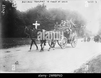 Rotes Kreuz Transport im Wald von Laigle (d. h. Laigne), Foto zeigt einen Pferdewagen mit verwundeten Soldaten im Wald von Laigne, Frankreich während des Ersten Weltkriegs, 1914, Weltkrieg, 1914-1918, Glasnegative, 1 negativ: Glas Stockfoto