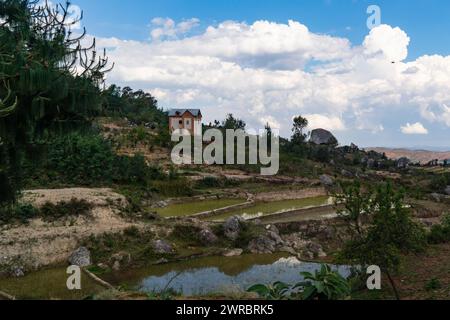 Reisterrassen, Fiadanana, Ambohimahasoa, Haute Matsiatra, Madagaskar Stockfoto