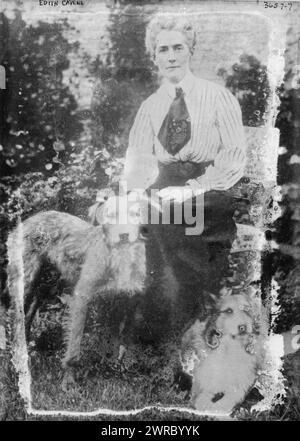 Edith Cavell, Foto zeigt die britische Krankenschwester Edith Louisa Cavell (1865–1915), eine britische Krankenschwester, die während des Ersten Weltkriegs von deutschen Truppen hingerichtet wurde. 1910 und ca. 1915, Glasnegative, 1 negativ: Glas Stockfoto