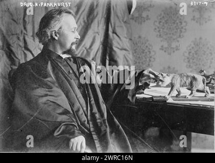 Dr. C.H. Parkhurst zeigt den Pfarrer und Sozialreformer Charles Henry Parkhurst (1842–1933), der als Pastor der Madison Square Presbyterian Church in New York City tätig war, wo er sich gegen die Korruption von Tammany Hall aussprach. Parkhurst sieht einen Spielzeugtiger (ein Symbol der Tammany Hall). 1910 und ca. 1920, Glasnegative, 1 negativ: Glas Stockfoto